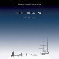 Cover image for The Surfacing