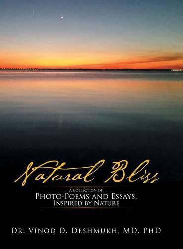 Cover image for Natural Bliss