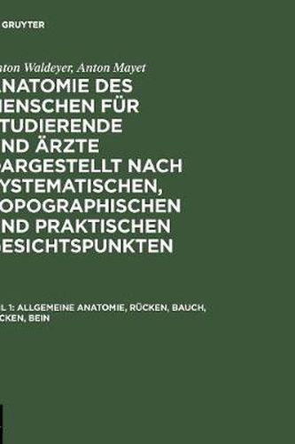 Cover image for Allgemeine Anatomie, Rucken, Bauch, Becken, Bein