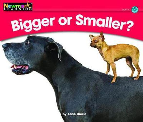 Cover image for Bigger or Smaller? Leveled Text