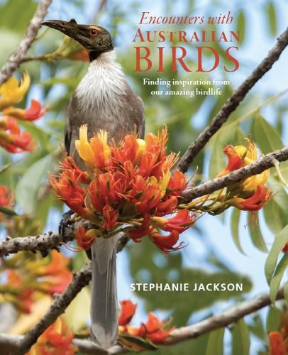 Encounters with Australian Birds