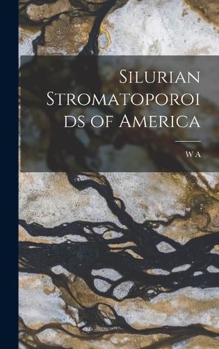 Cover image for Silurian Stromatoporoids of America