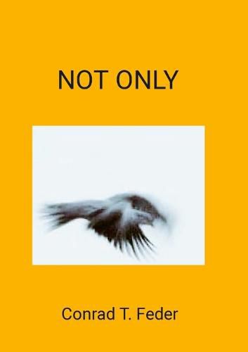 Cover image for Not Only