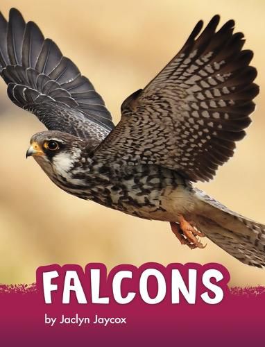 Cover image for Falcons