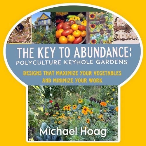 Cover image for The Key to Abundance