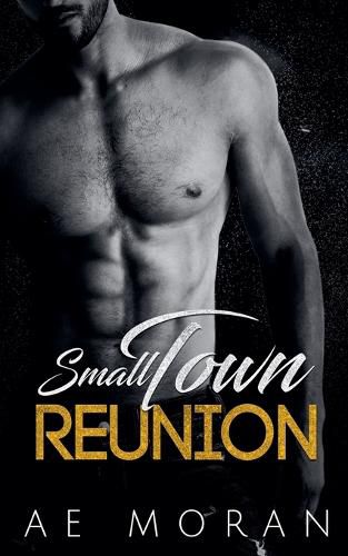 Cover image for Small Town Reunion