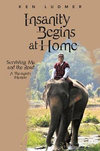 Cover image for Insanity Begins at Home