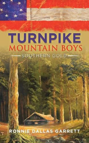 Cover image for Turnpike Mountain Boys