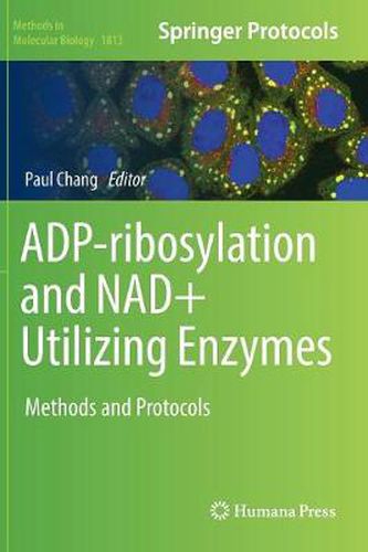 Cover image for ADP-ribosylation and NAD+ Utilizing Enzymes: Methods and Protocols