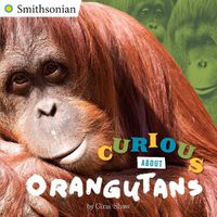 Cover image for Curious About Orangutans