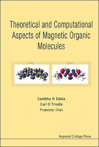 Cover image for Theoretical And Computational Aspects Of Magnetic Organic Molecules