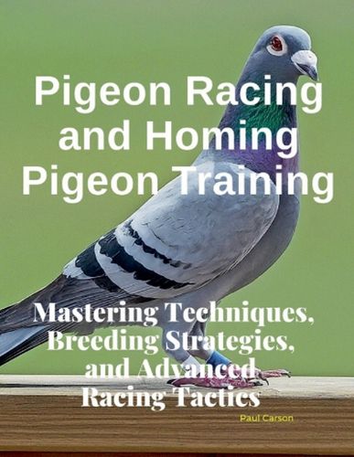 Pigeon Racing and Homing Pigeon Training