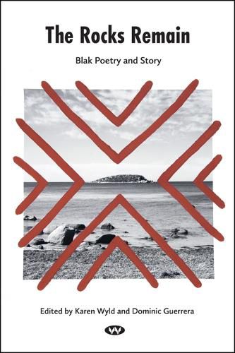 Cover image for The Rocks Remain