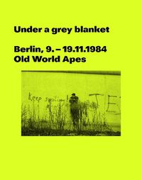 Cover image for Under a grey blanket