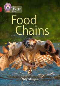 Cover image for Food Chains: Band 14/Ruby
