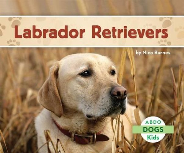 Cover image for Labrador Retrievers