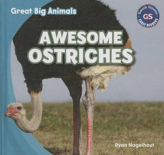 Cover image for Awesome Ostriches