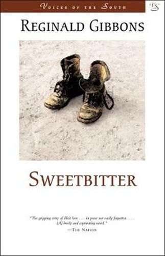 Cover image for Sweetbitter: A Novel