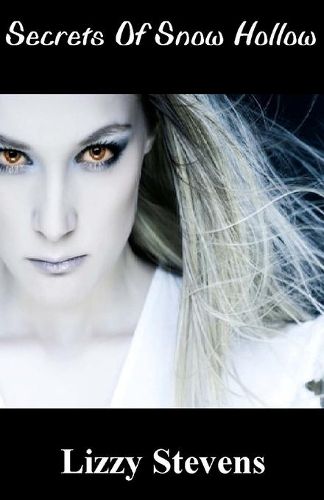 Cover image for Secrets Of Snow Hollow