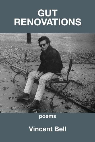 Cover image for Gut Renovations