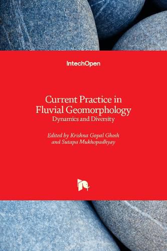 Cover image for Current Practice in Fluvial Geomorphology: Dynamics and Diversity