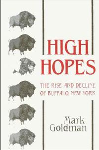 Cover image for High Hopes: The Rise and Decline of Buffalo, New York