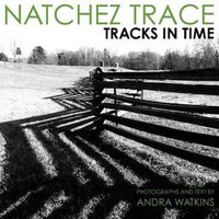 Cover image for Natchez Trace: Tracks in Time