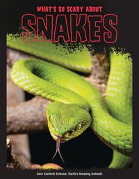 Cover image for What's So Scary about Snakes?