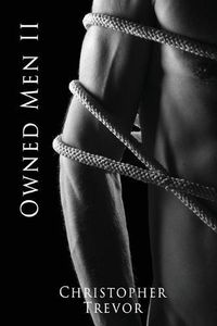 Cover image for Owned Men II