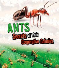 Cover image for Ants: Secrets of Their Cooperative Colonies