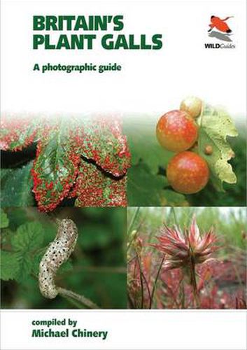 Cover image for Britain's Plant Galls: A Photographic Guide