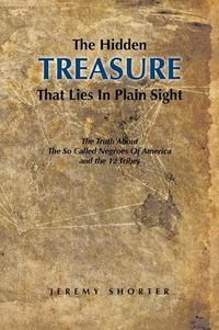 Cover image for The Hidden Treasure That Lies in Plain Sight