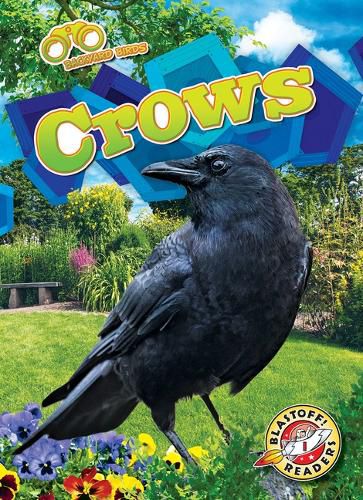 Cover image for Crows