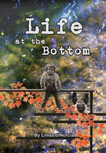 Cover image for Life at the Bottom