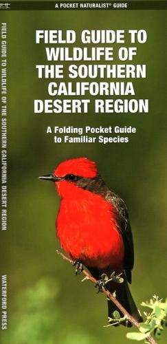 Cover image for Wildlife of the Southern California Region