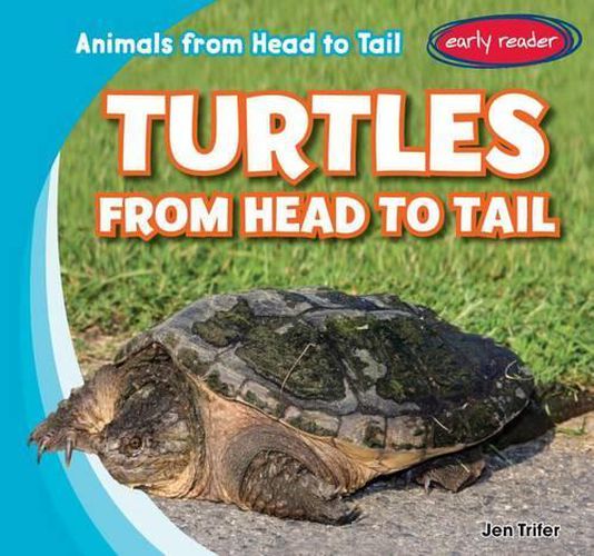 Cover image for Turtles from Head to Tail