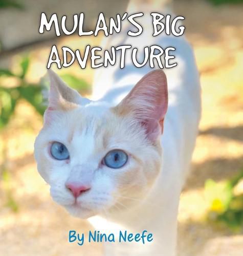 Cover image for Mulan's Big Adventure: The True Story of a Lost Kitty