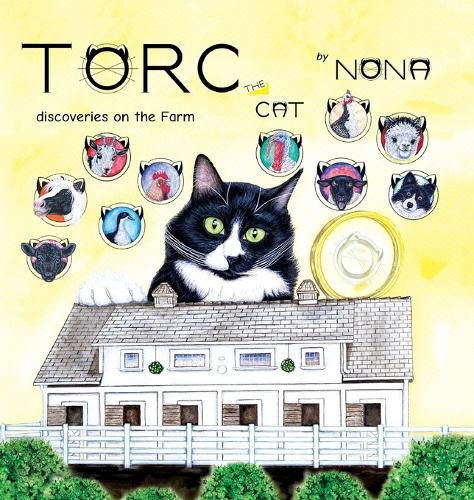 Cover image for TORC the CAT discoveries on the Farm