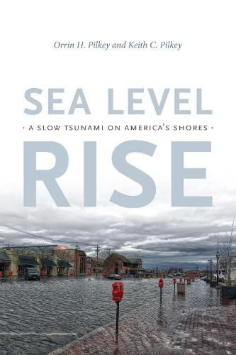 Cover image for Sea Level Rise: A Slow Tsunami on America's Shores