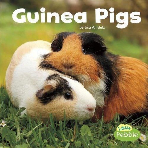 Cover image for Guinea Pigs (Our Pets)