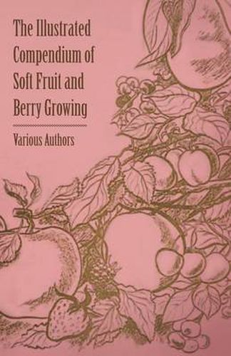 Cover image for The Illustrated Compendium of Soft Fruit and Berry Growing