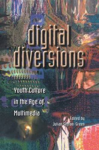 Cover image for Digital Diversions: Youth Culture in the Age of Multimedia