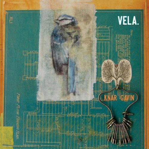 Cover image for Vela.