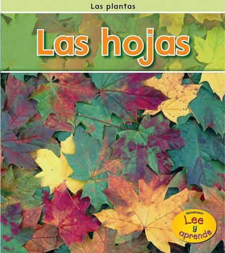 Cover image for Las Hojas