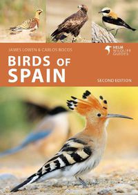Cover image for Birds of Spain