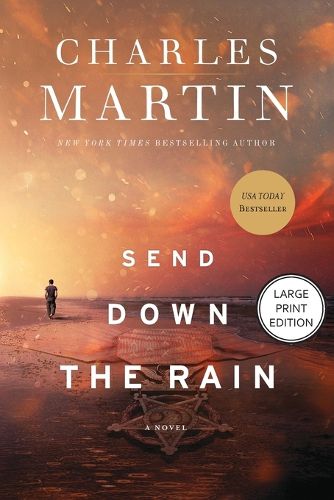 Cover image for Send Down the Rain