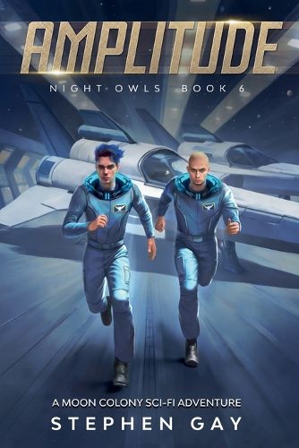 Cover image for Amplitude Night Owls 6