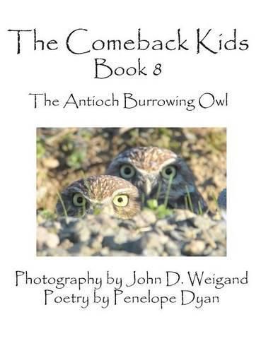 Cover image for The Comeback Kids, Book 8, the Antioch Burrowing Owl