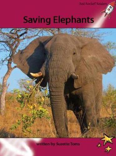 Cover image for Red Rocket Readers: Advanced Fluency 3 Non-Fiction Set A: Saving Elephants (Reading Level 28/F&P Level P)