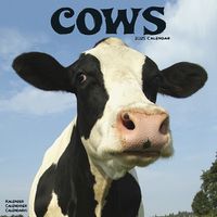 Cover image for Cows Calendar 2025 Square Farm Animal Wall Calendar - 16 Month